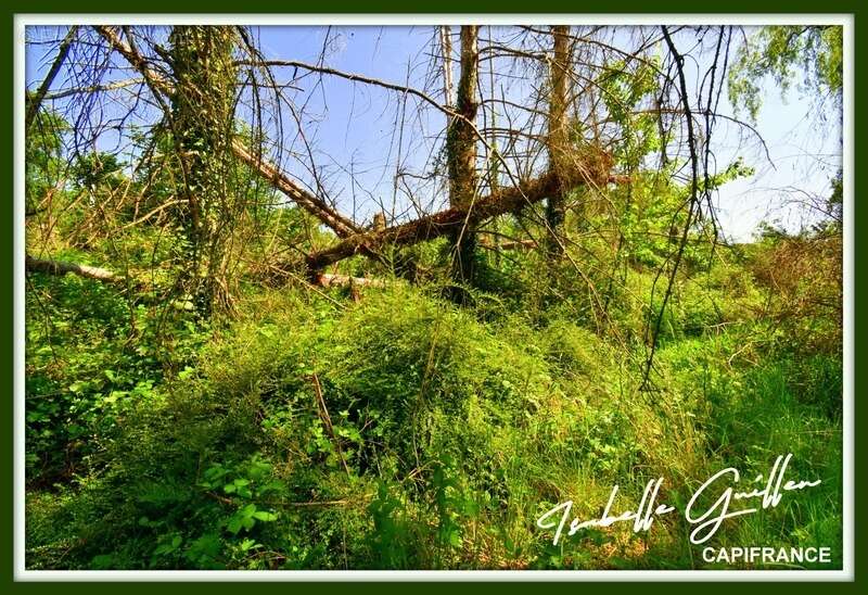Terrain à CHATEAUMEILLANT