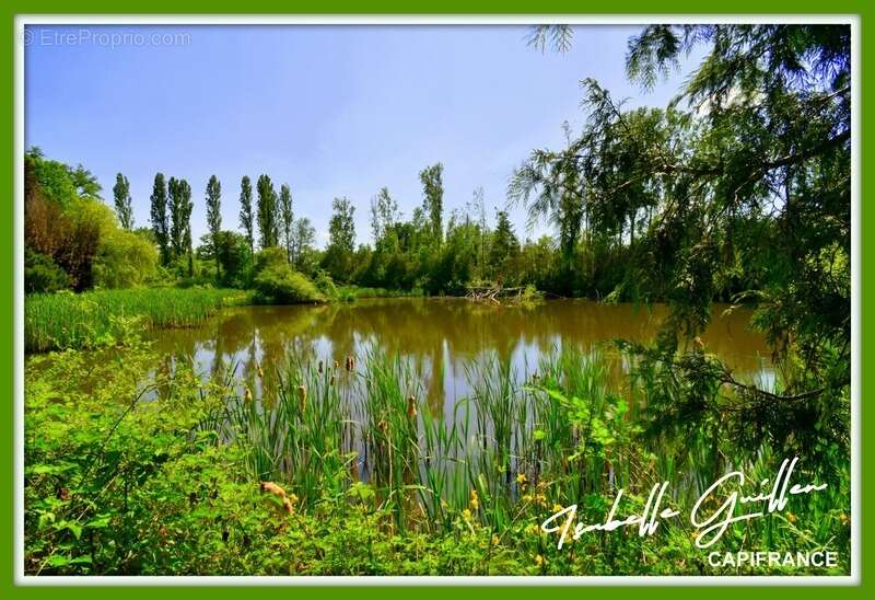 Terrain à CHATEAUMEILLANT