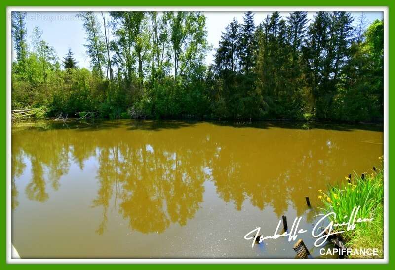 Terrain à CHATEAUMEILLANT