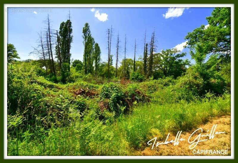 Terrain à CHATEAUMEILLANT