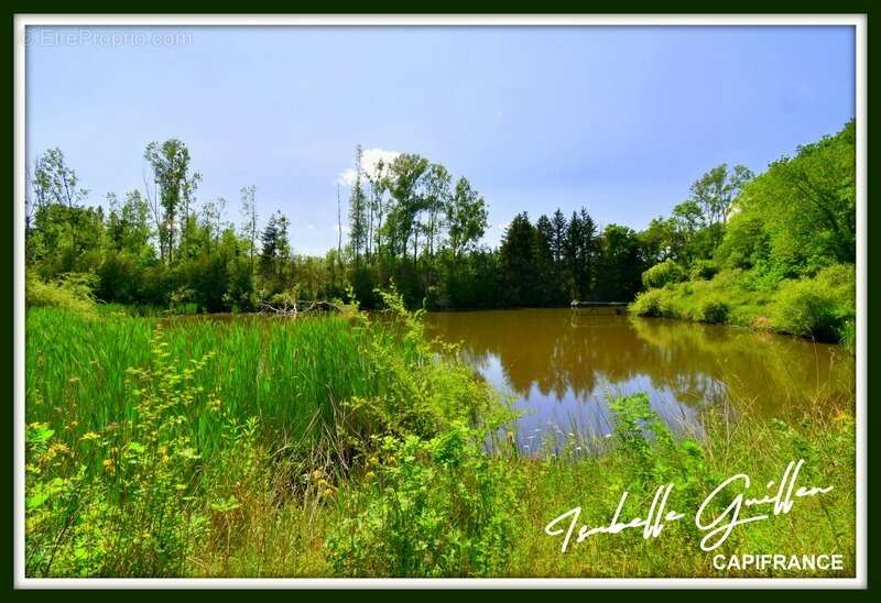 Terrain à CHATEAUMEILLANT