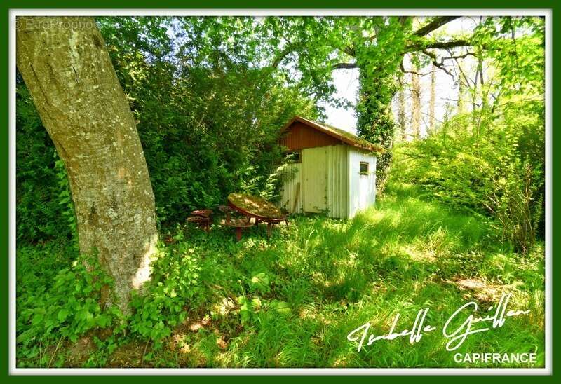 Terrain à CHATEAUMEILLANT