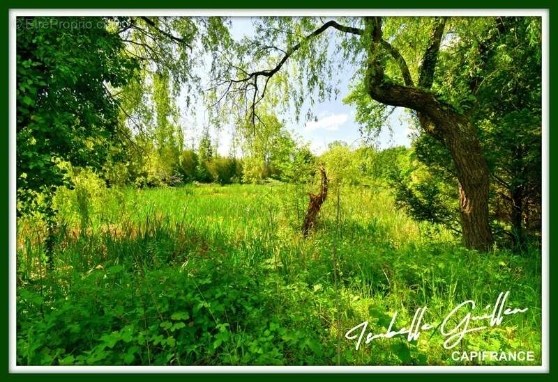 Terrain à CHATEAUMEILLANT