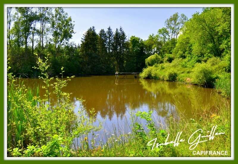 Terrain à CHATEAUMEILLANT