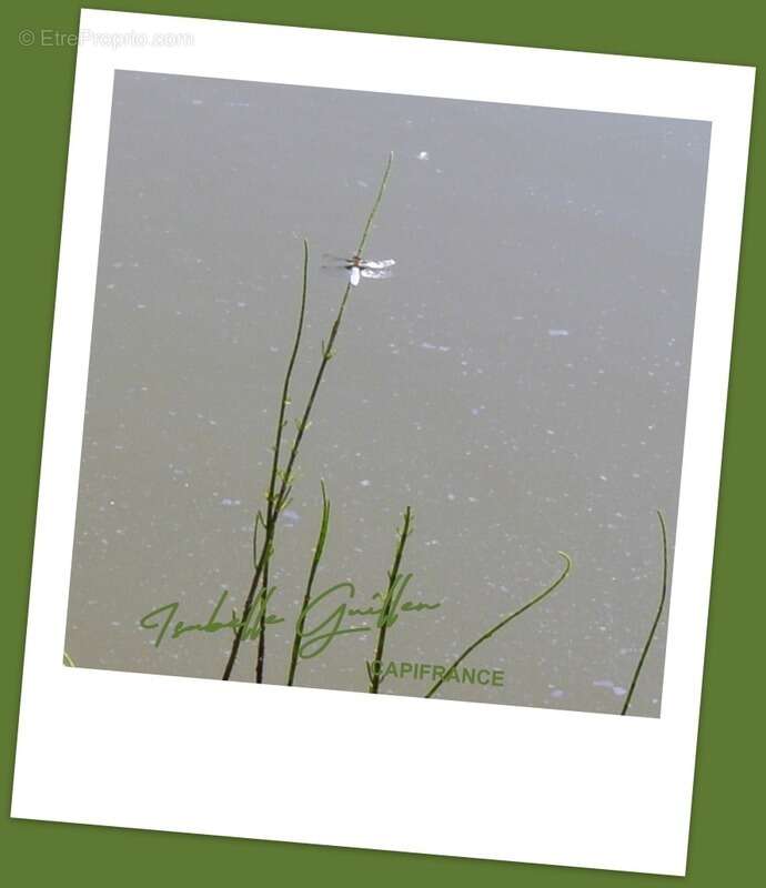 Terrain à CHATEAUMEILLANT