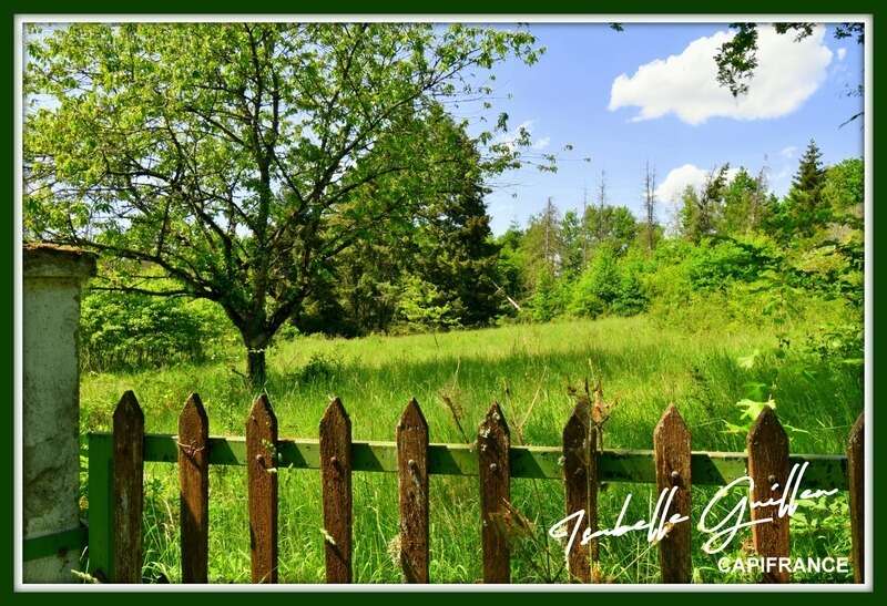 Terrain à CHATEAUMEILLANT