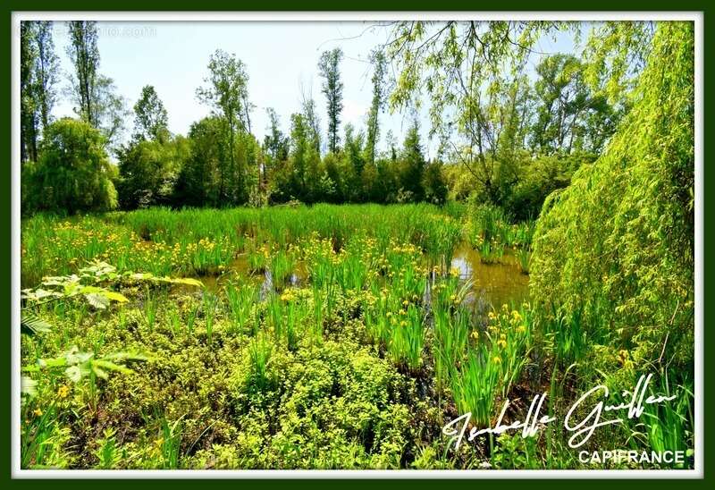 Terrain à CHATEAUMEILLANT