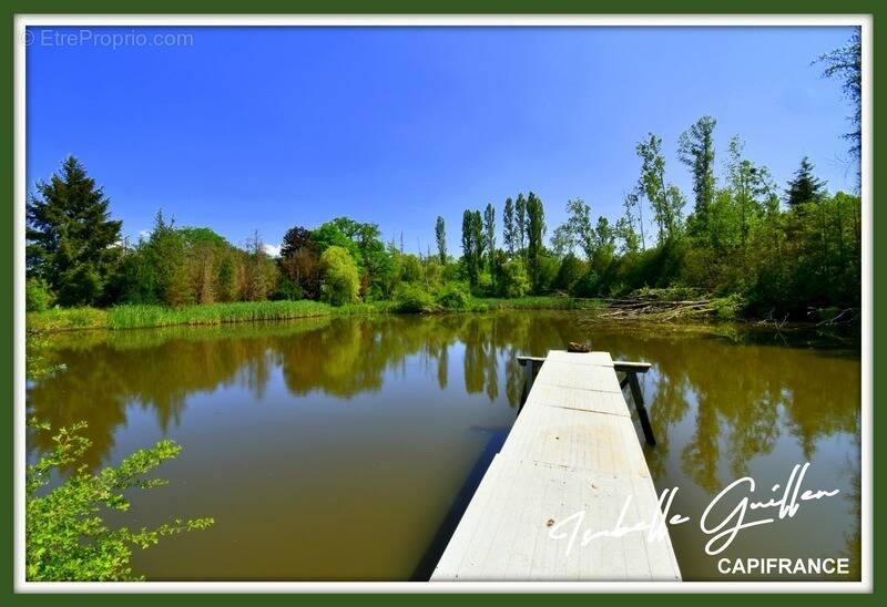 Terrain à CHATEAUMEILLANT