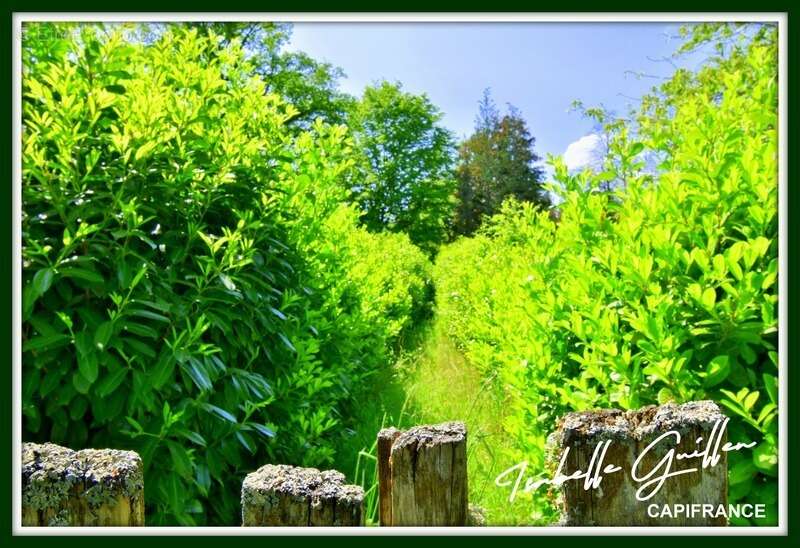 Terrain à CHATEAUMEILLANT