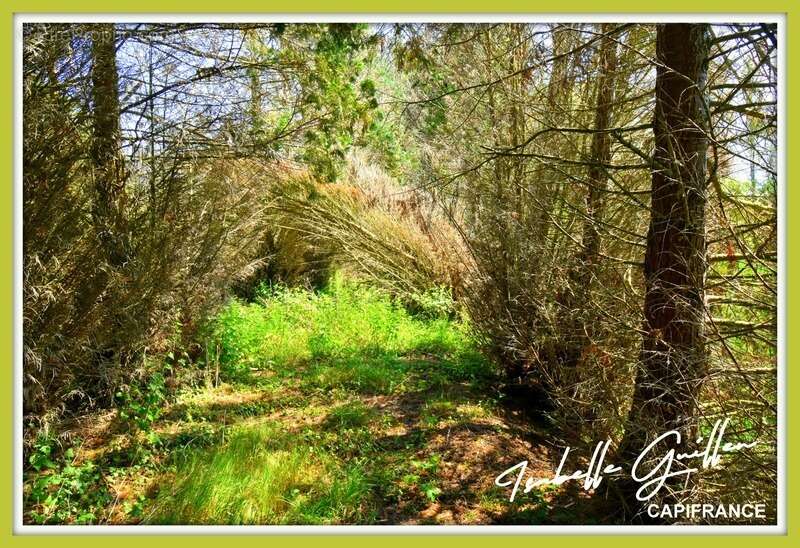 Terrain à CHATEAUMEILLANT