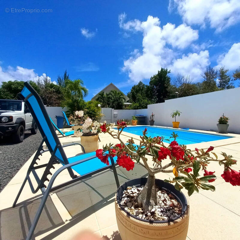 Maison à SAINT-FRANCOIS