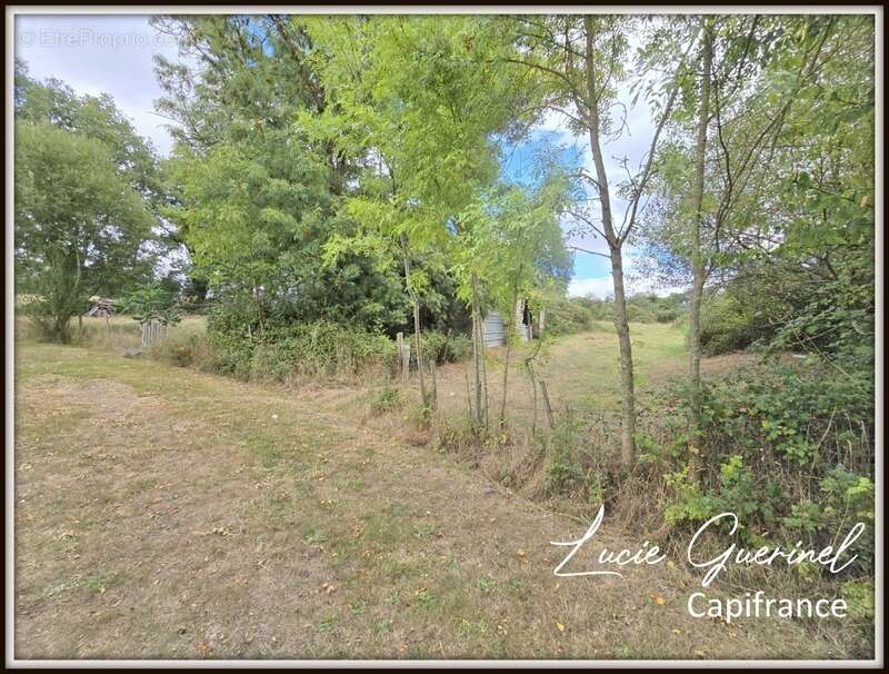 Maison à SAINT-AUBIN-DES-CHATEAUX