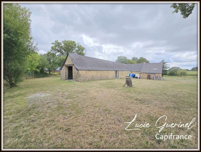 Maison à SAINT-AUBIN-DES-CHATEAUX