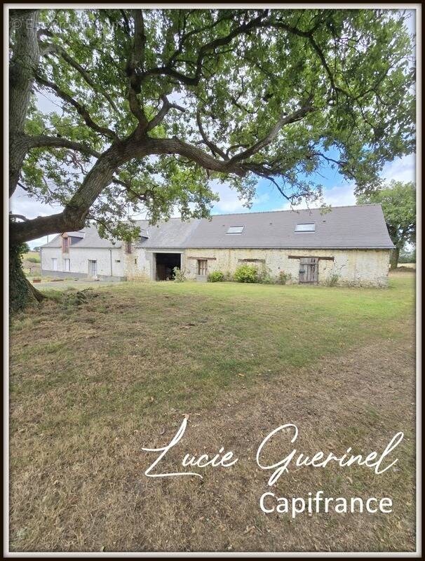 Maison à SAINT-AUBIN-DES-CHATEAUX