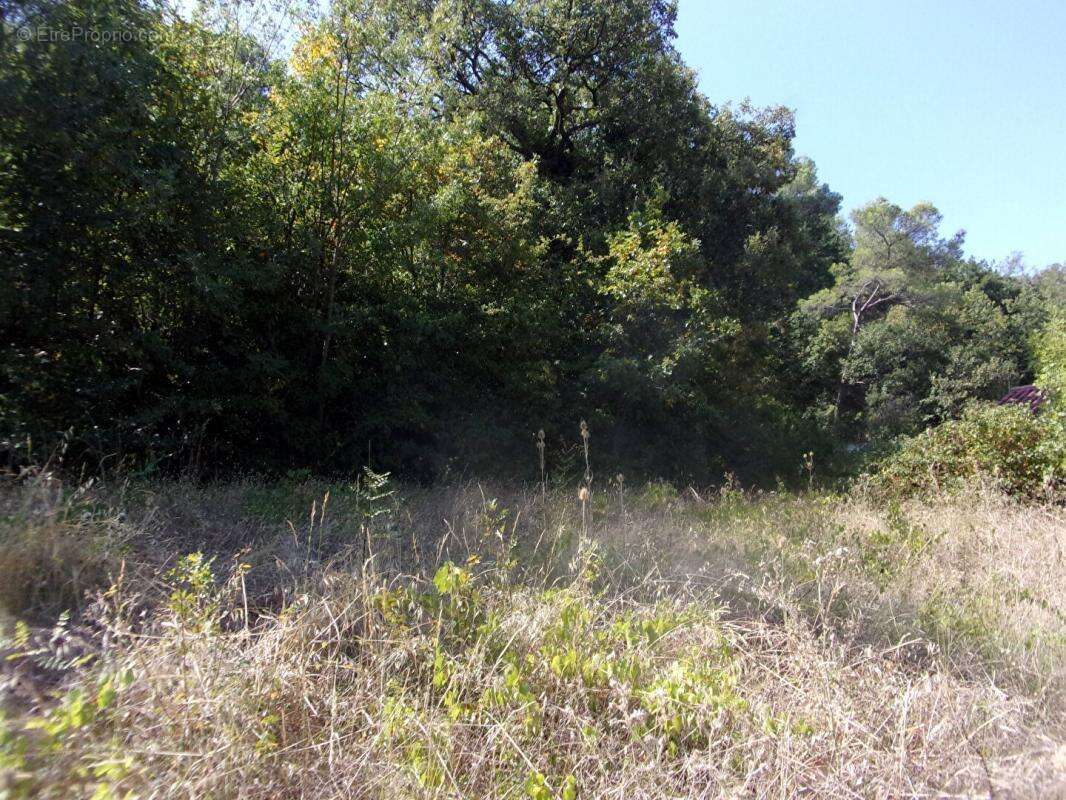 Terrain à LIAUSSON