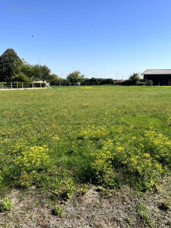 Terrain à LES GRANDES-CHAPELLES
