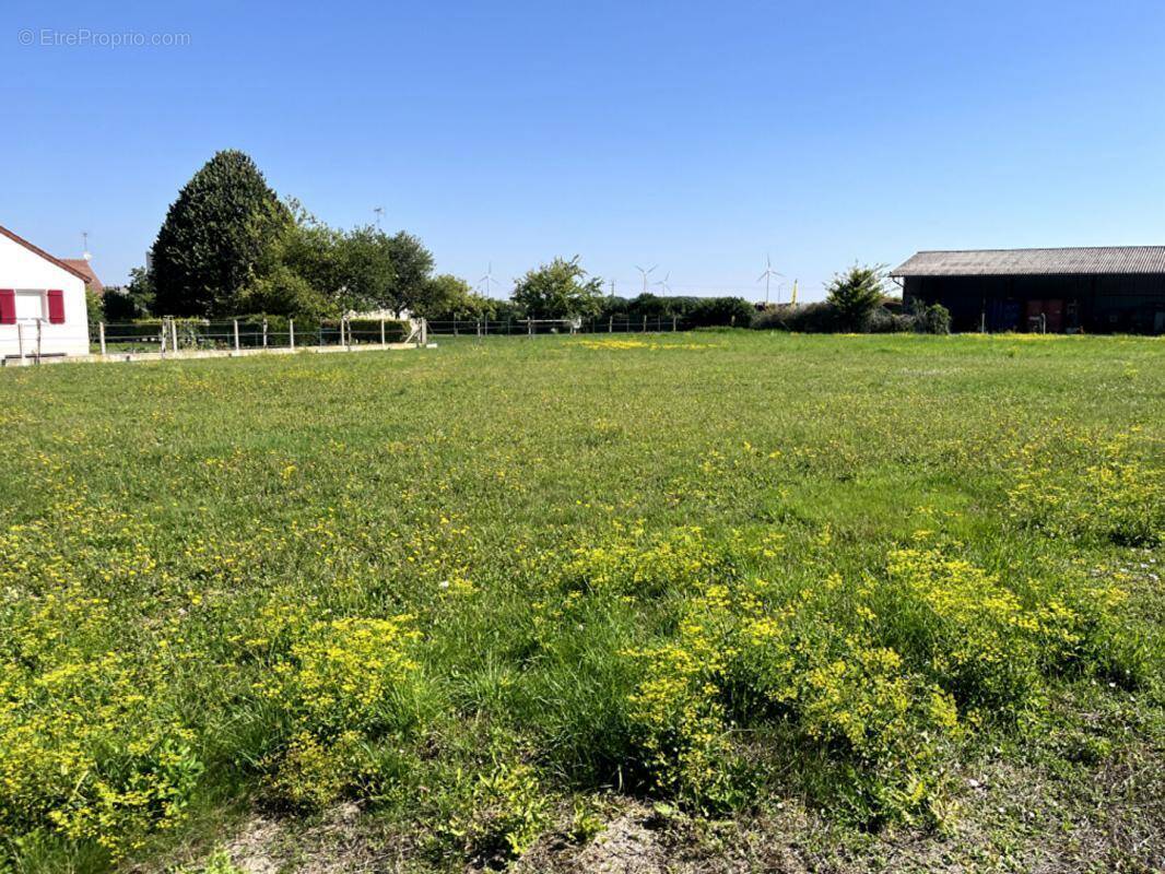 Terrain à LES GRANDES-CHAPELLES