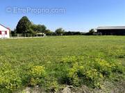 Terrain à LES GRANDES-CHAPELLES