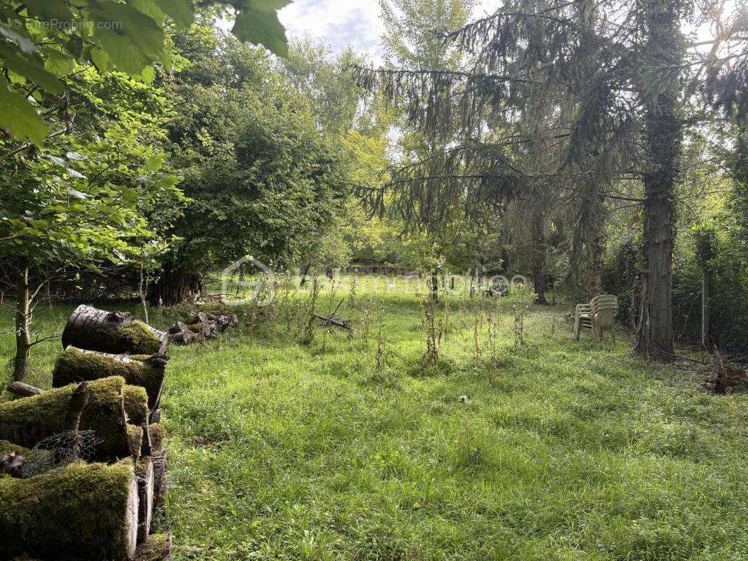 Terrain à CREPY-EN-VALOIS