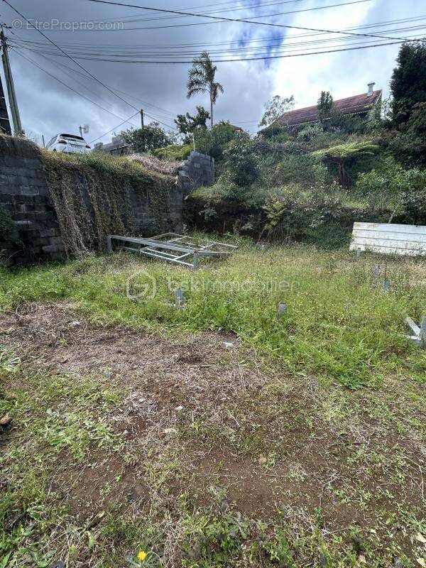 Terrain à LE TAMPON