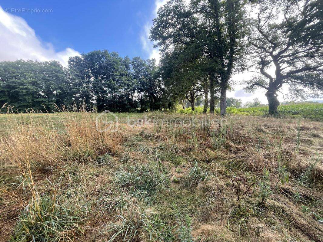 Terrain à SORT-EN-CHALOSSE