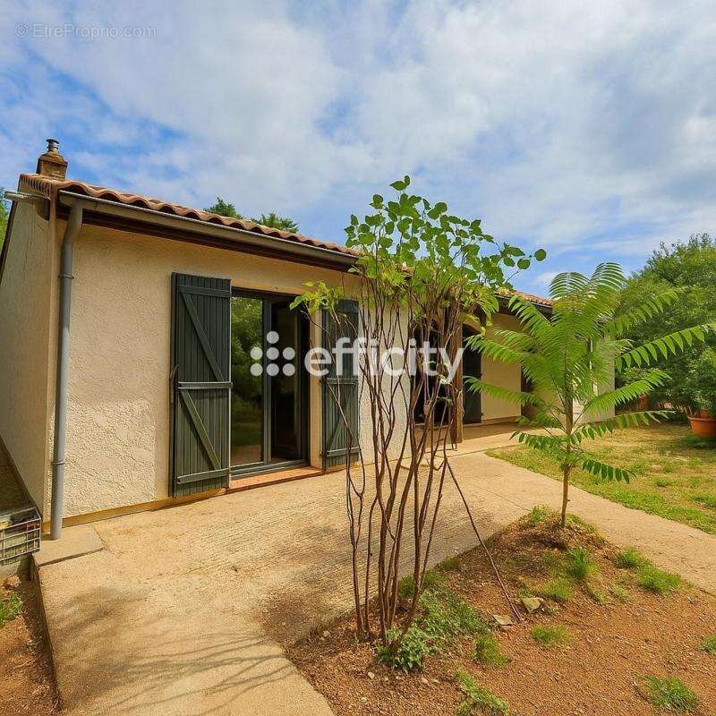 Maison à MIGNE-AUXANCES