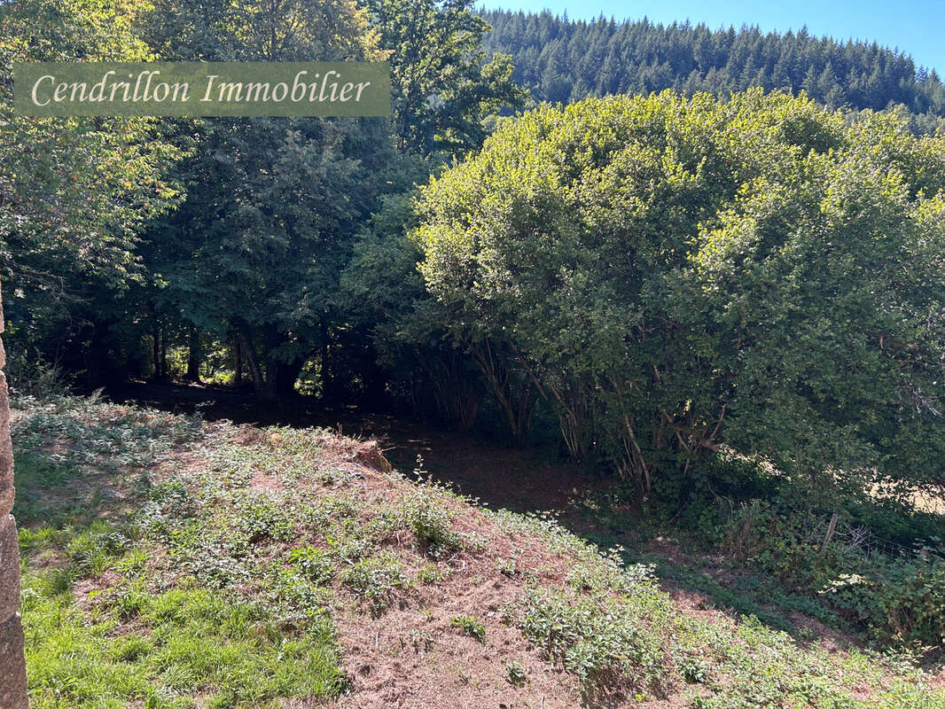 Maison à CHATELUS-LE-MARCHEIX