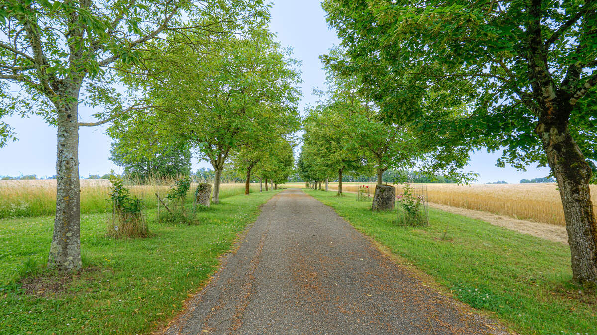 Maison à MONTAIGU-DE-QUERCY