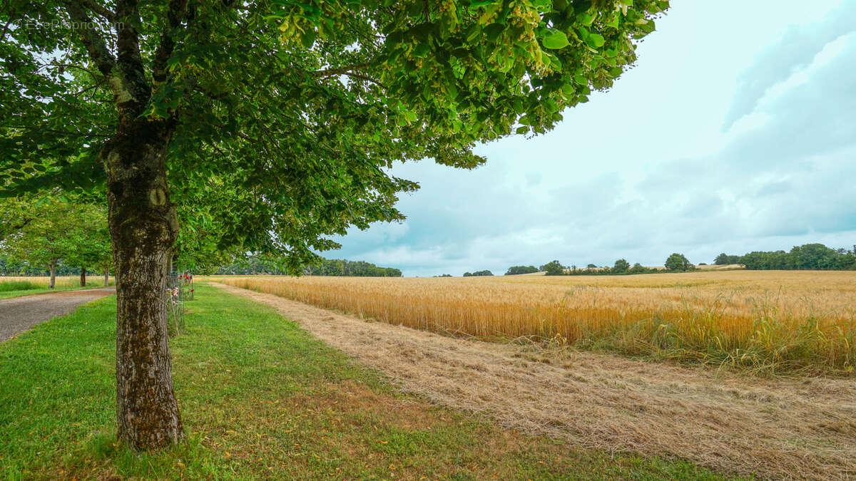 Maison à MONTAIGU-DE-QUERCY