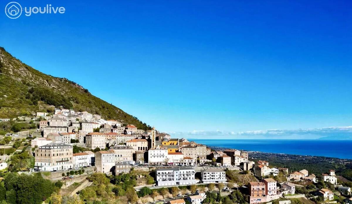 Commerce à CERVIONE