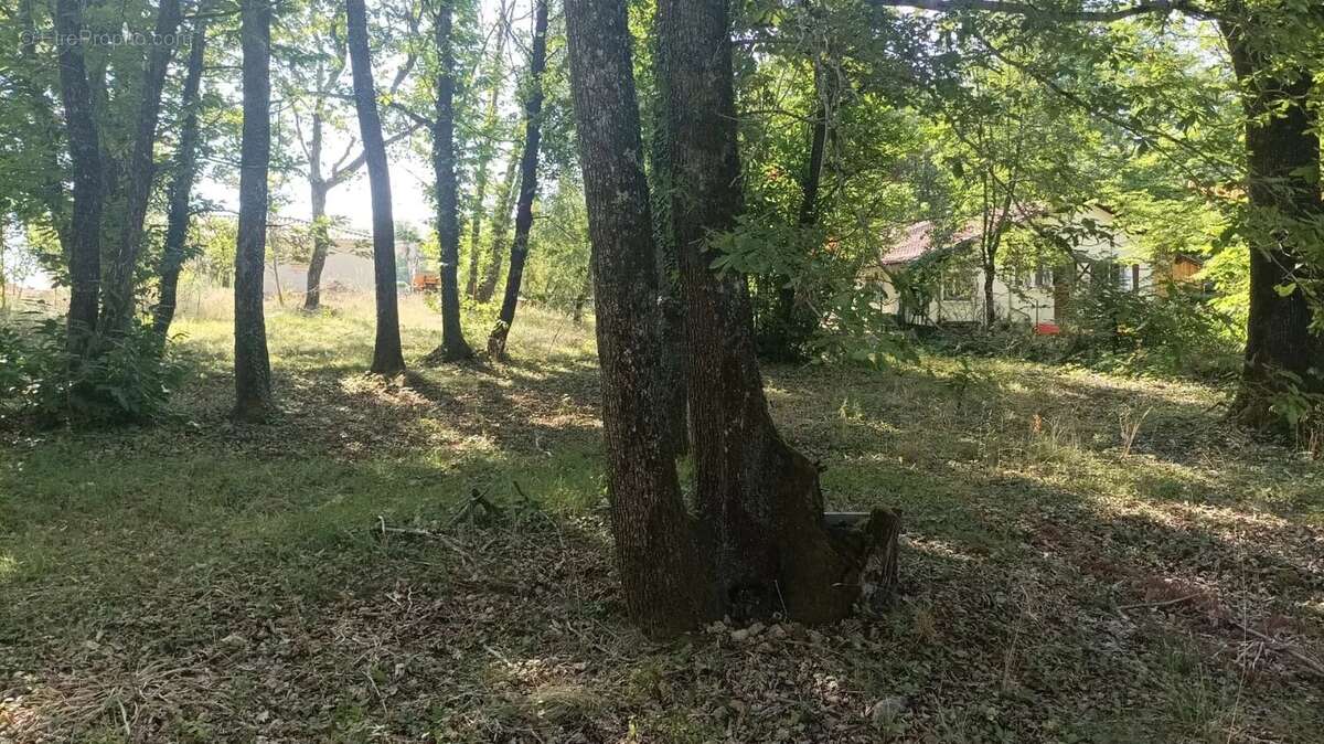 Terrain à LA CHAPELLE-GONAGUET