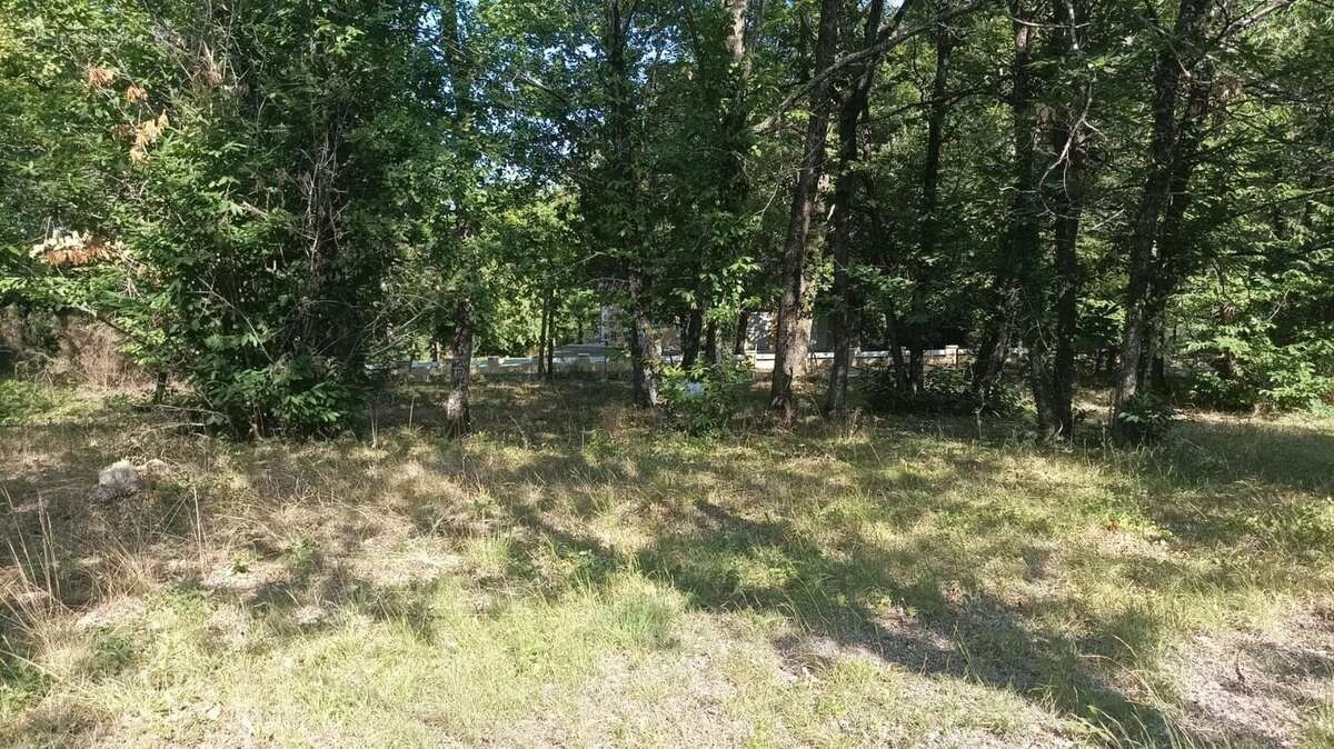 Terrain à LA CHAPELLE-GONAGUET