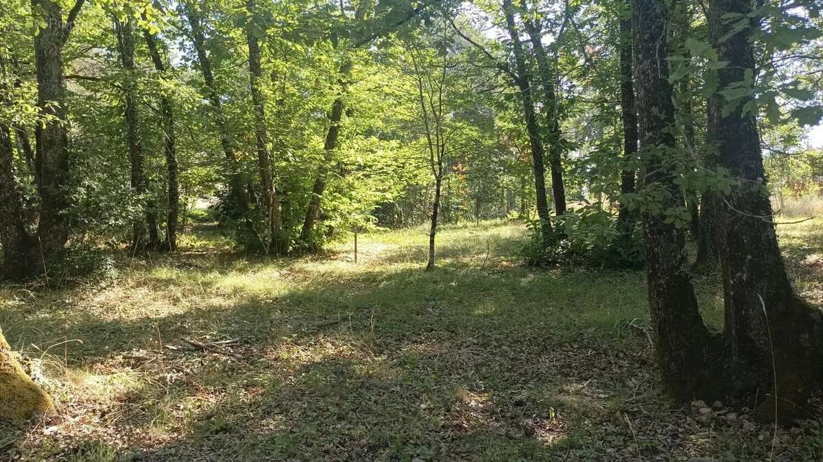 Terrain à LA CHAPELLE-GONAGUET