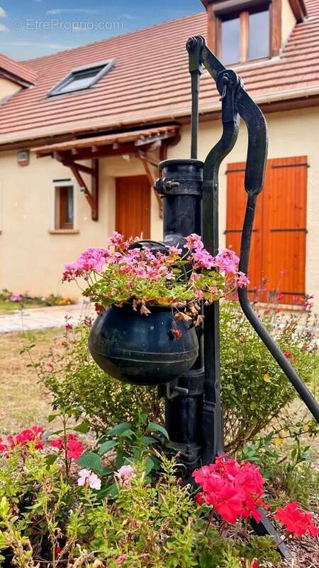 Maison à SAINT-FARGEAU-PONTHIERRY