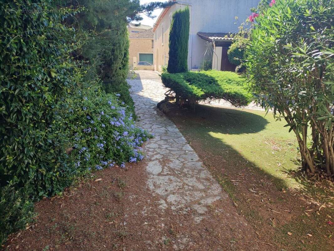 Photo 5 - Maison à ALIGNAN-DU-VENT