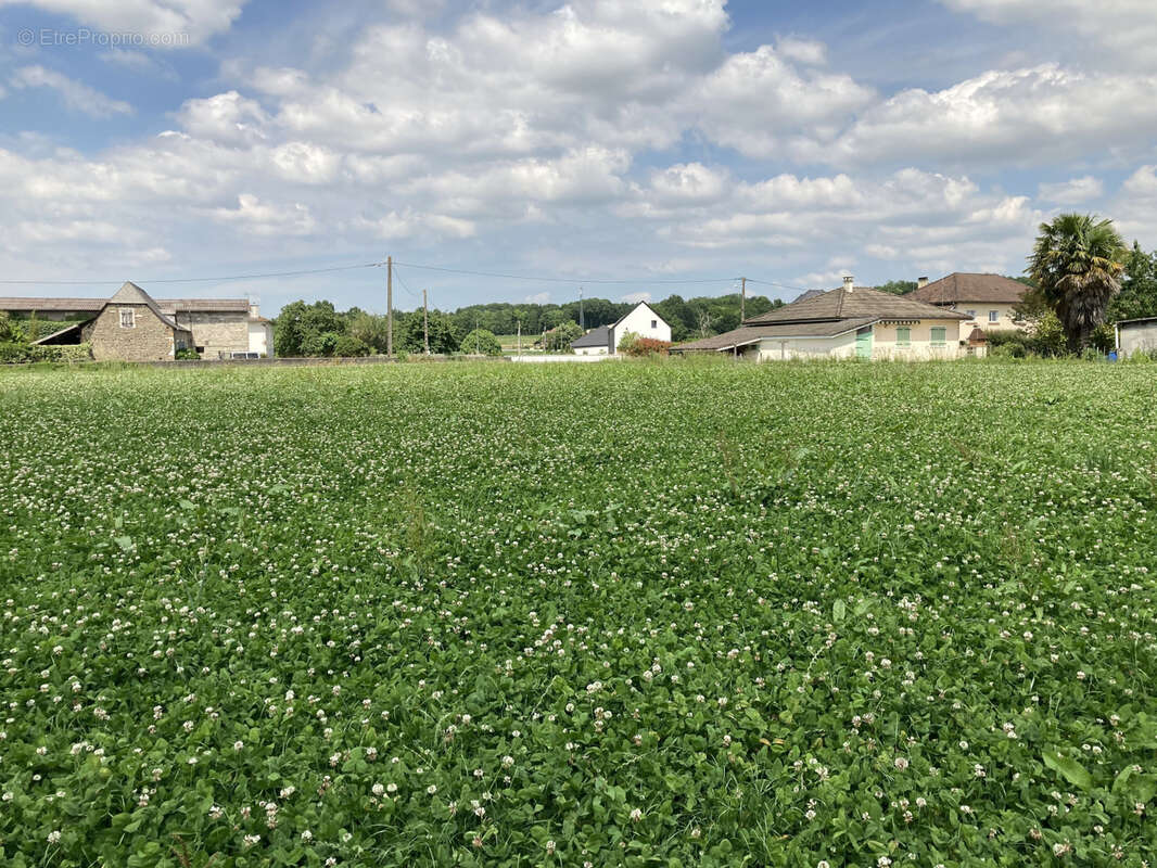 Terrain à POEY-DE-LESCAR