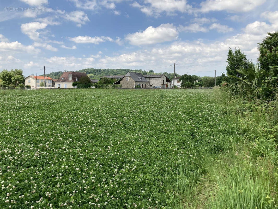 Terrain à POEY-DE-LESCAR