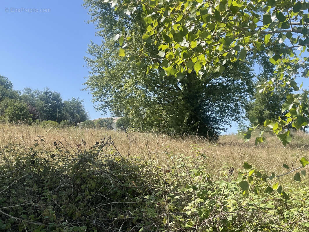 Terrain à LA BASTIDE-DE-BESPLAS
