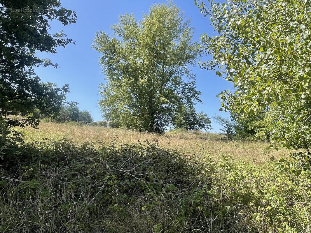 Terrain à LA BASTIDE-DE-BESPLAS