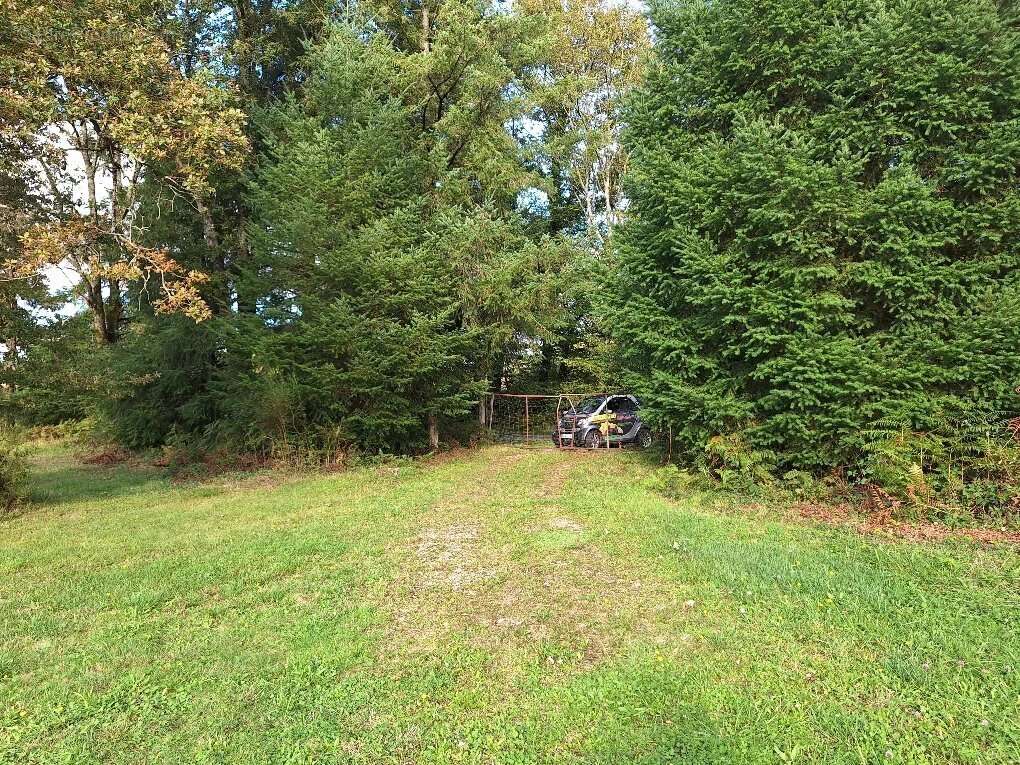 Terrain à ROUMAZIERES-LOUBERT