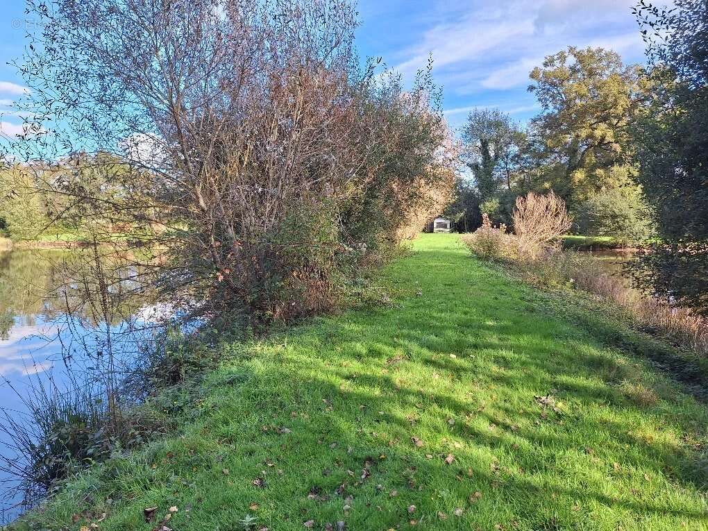 Terrain à ROUMAZIERES-LOUBERT