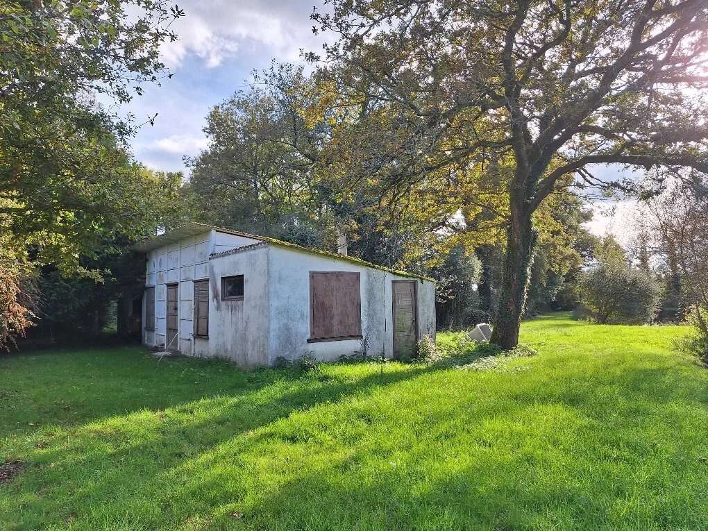 Terrain à ROUMAZIERES-LOUBERT