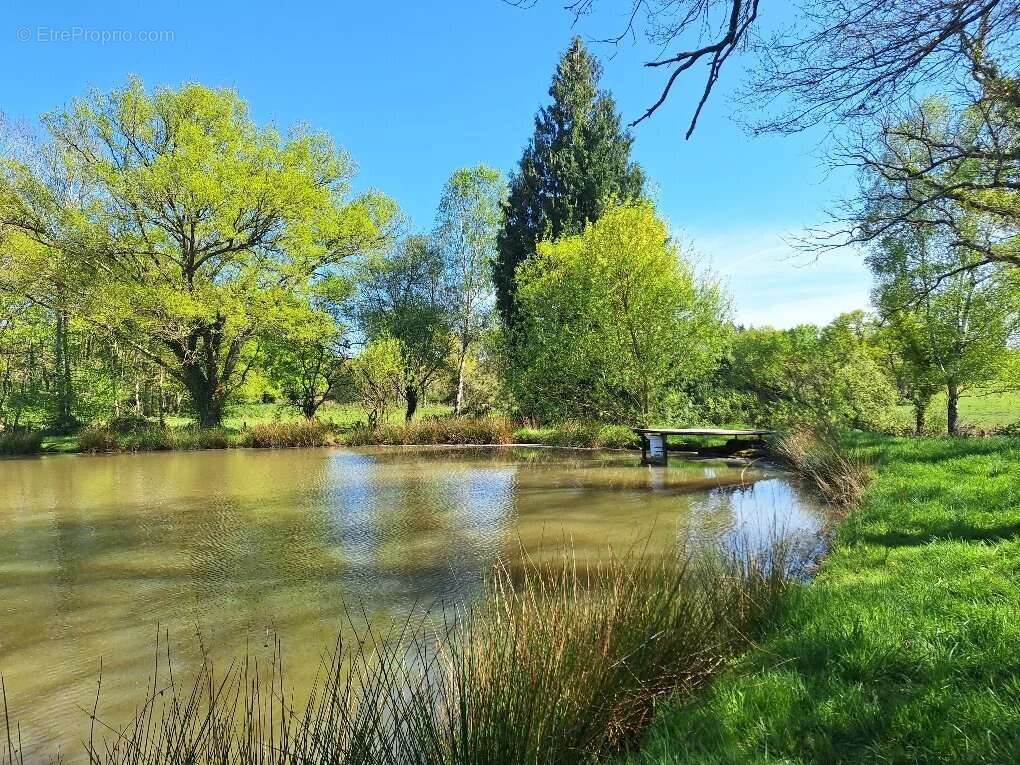 Terrain à ROUMAZIERES-LOUBERT