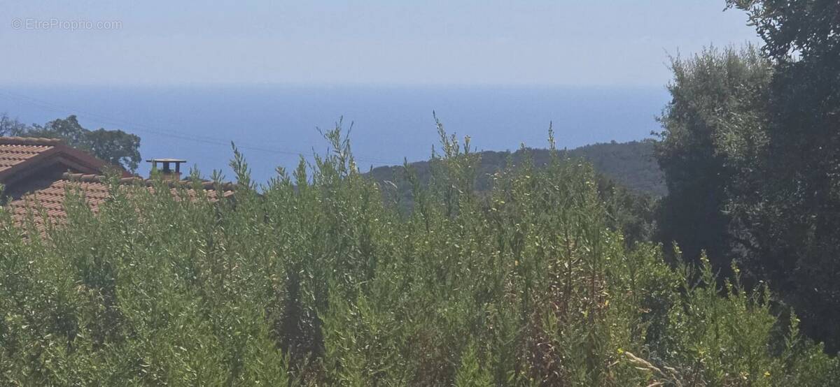 Terrain à SARI-SOLENZARA