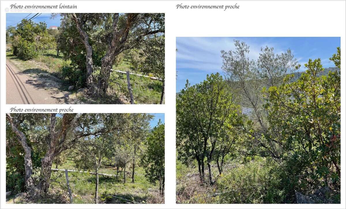 Terrain à SARI-SOLENZARA