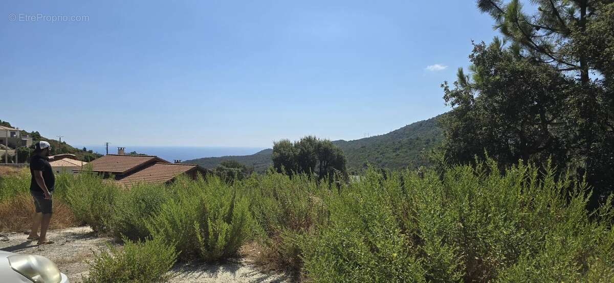 Terrain à SARI-SOLENZARA