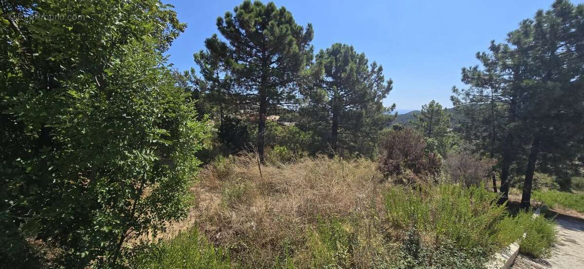 Terrain à SARI-SOLENZARA