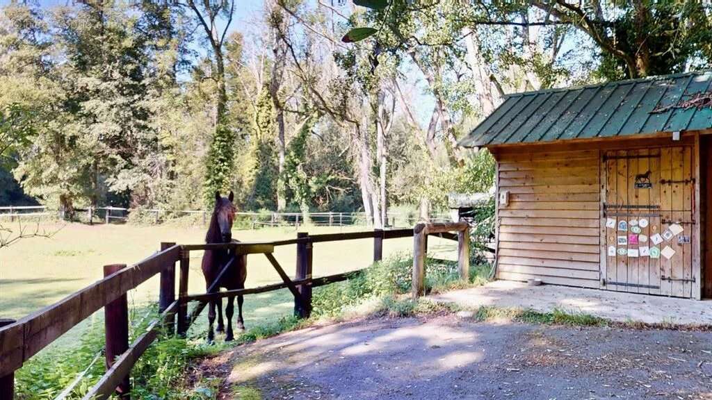 Maison à SAINT-MAURICE-MONTCOURONNE