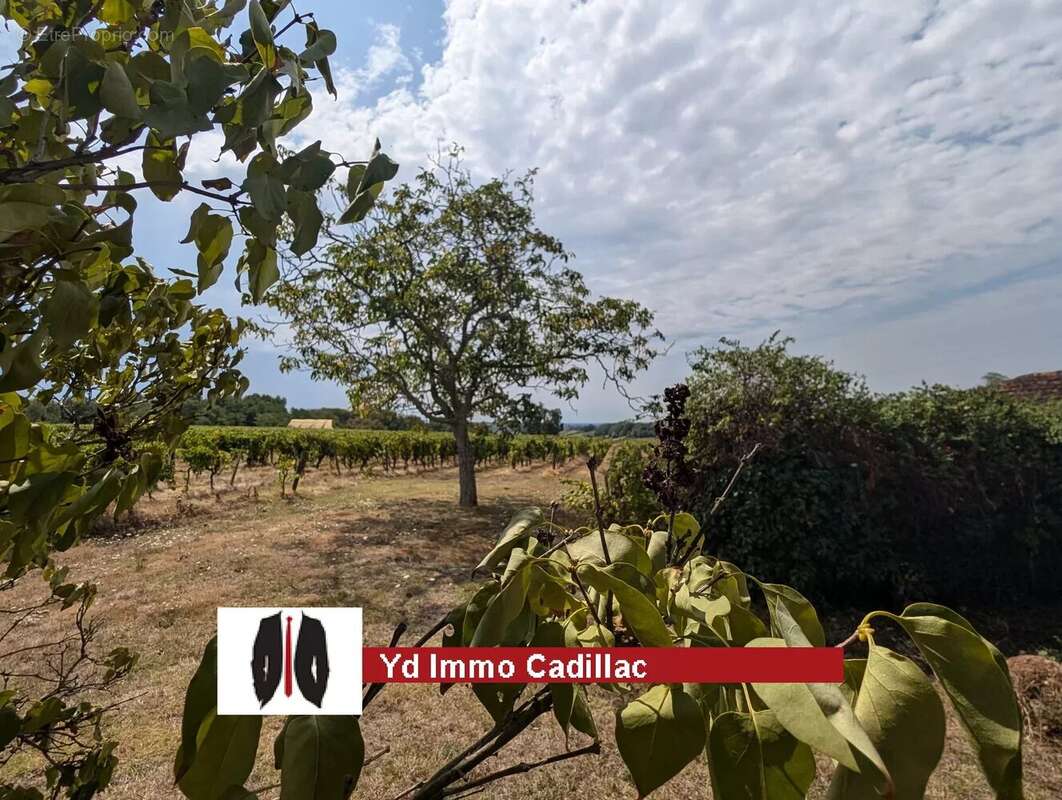 Maison à CADILLAC