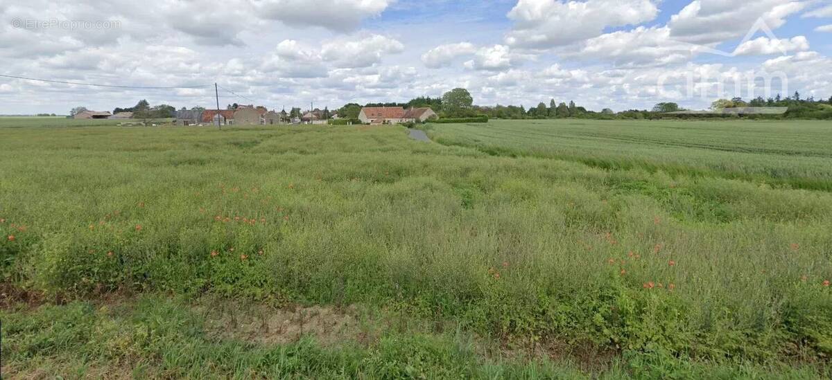 Terrain à CHAMPIGNY-EN-BEAUCE